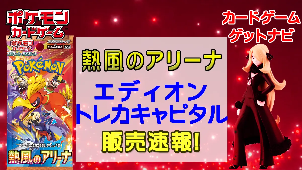 エディオン「熱風のアリーナ」販売