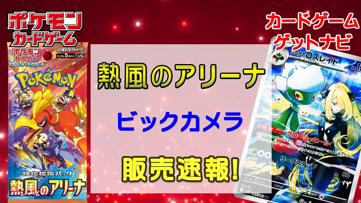 ビックカメラ「熱風のアリーナ」販売