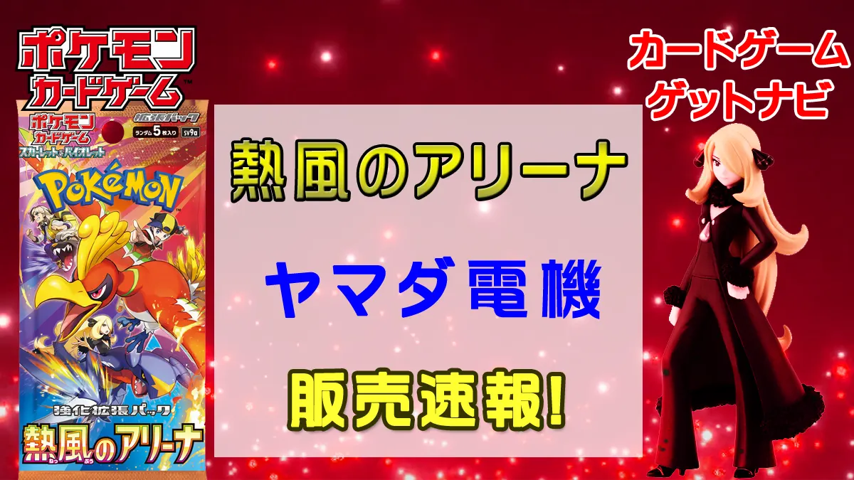 ヤマダ電機「熱風のアリーナ」販売