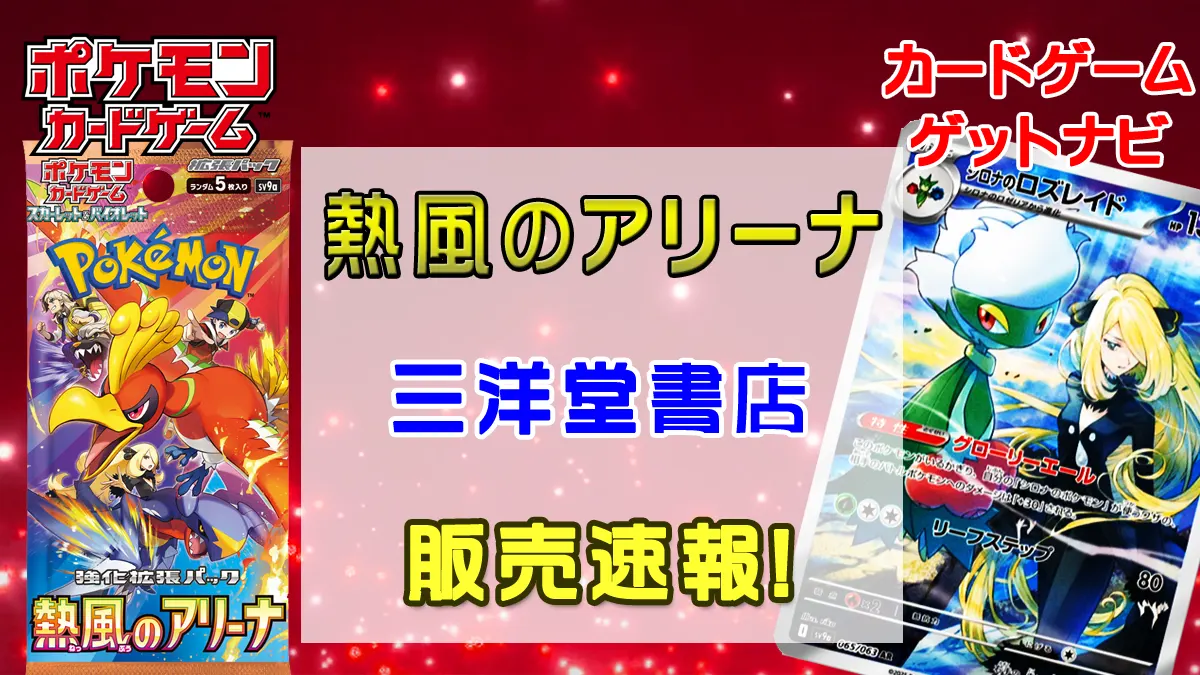 三洋堂「熱風のアリーナ販売」