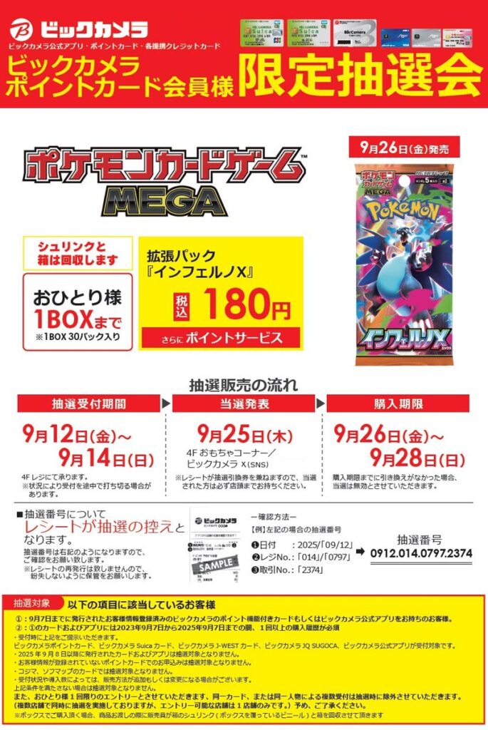 ビックカメラ店頭インフェルノX