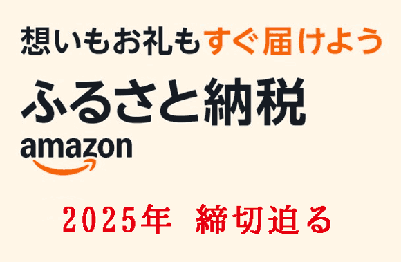 Amazonふるさと納税