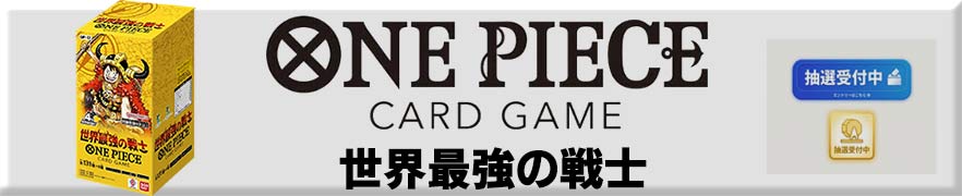 世界最強の戦士