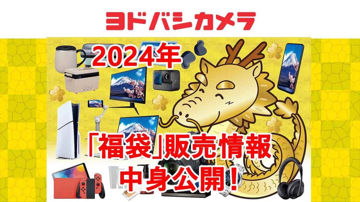 ヨドバシカメラの2025福袋 AIサーフェスpro 第11世代セット 補っ