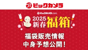 2025年ビックカメラ福箱の中身公開