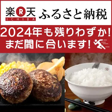 2024年ふるさと納税お早めに❗