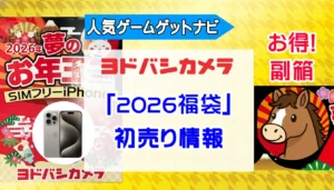 ヨドバシカメラ「福袋」福箱-